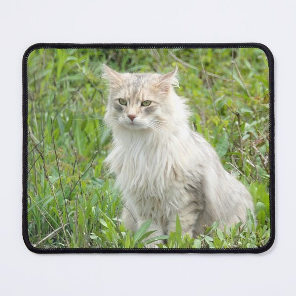 Item preview, Stray Cat designed and sold by TMBTM.