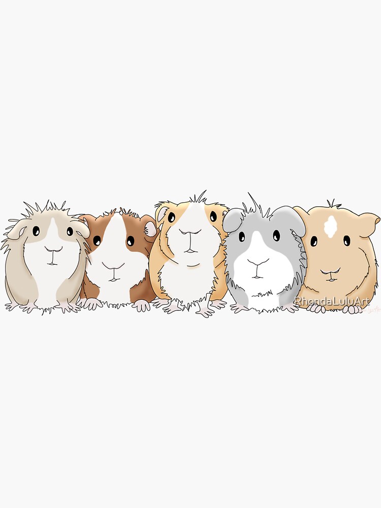 Thumbnail 3 of 3, Sticker, Guinea Pig Fun designed and sold by RhondaLuluArt.