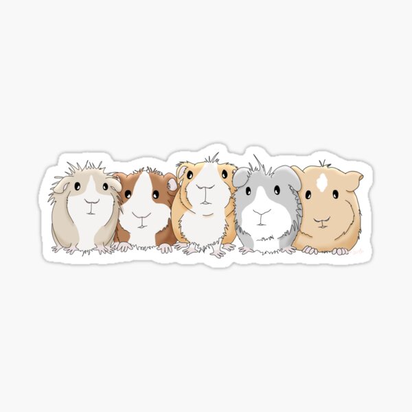 Guinea Pig Fun Sticker