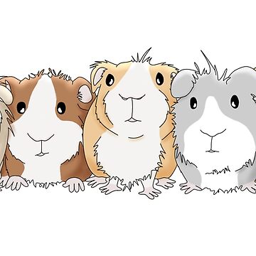 Artwork thumbnail, Guinea Pig Fun by RhondaLuluArt