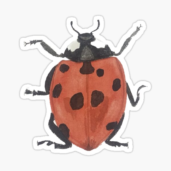 Aperçu de l'œuvre Lou coccinelle créée et vendue par StudioBRue.