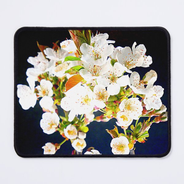 Item preview, Cherry Blossom Cluster designed and sold by angel1.