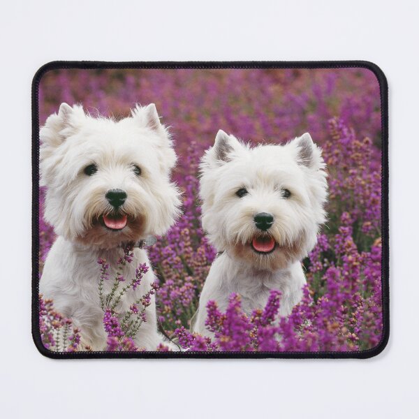Item preview, Westie, West Highland Terrier Dogs in heather designed and sold by ScienceSource.