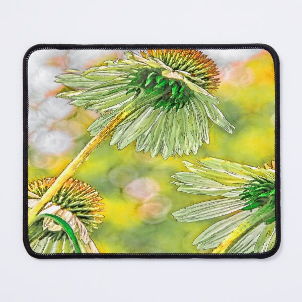 Item preview, Three Coneheads, Cone-flower Art, Capture in Oklahoma USA. designed and sold by JohnDSmith.