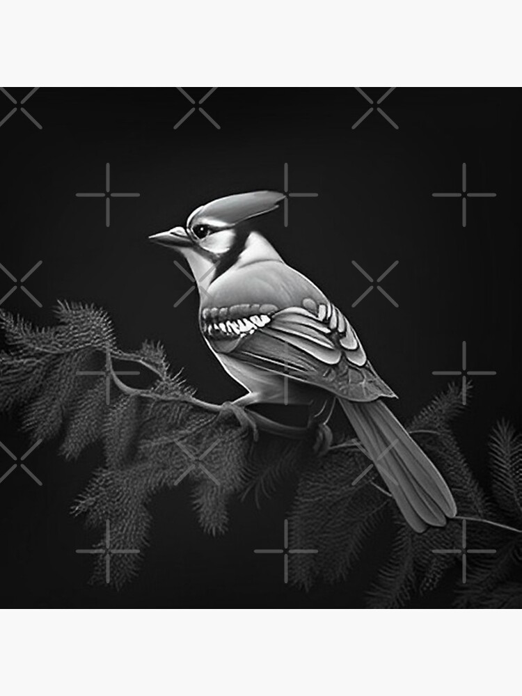 BLACK AND WHITE BLUE JAY Art Print