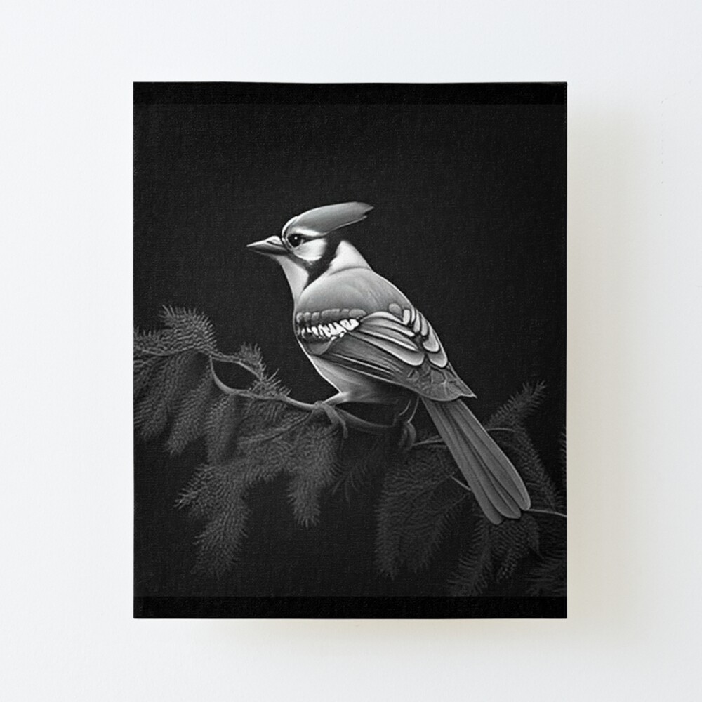 BLACK AND WHITE BLUE JAY Art Print