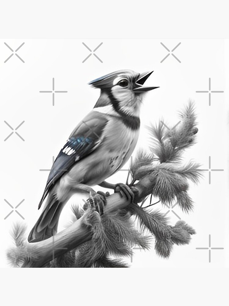 Black and White Blue Jay Sticker for Sale by Pencil-Art