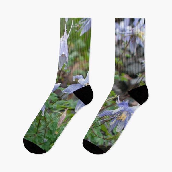 Item preview, Colorado Columbine Flowers designed and sold by Lostlogo.