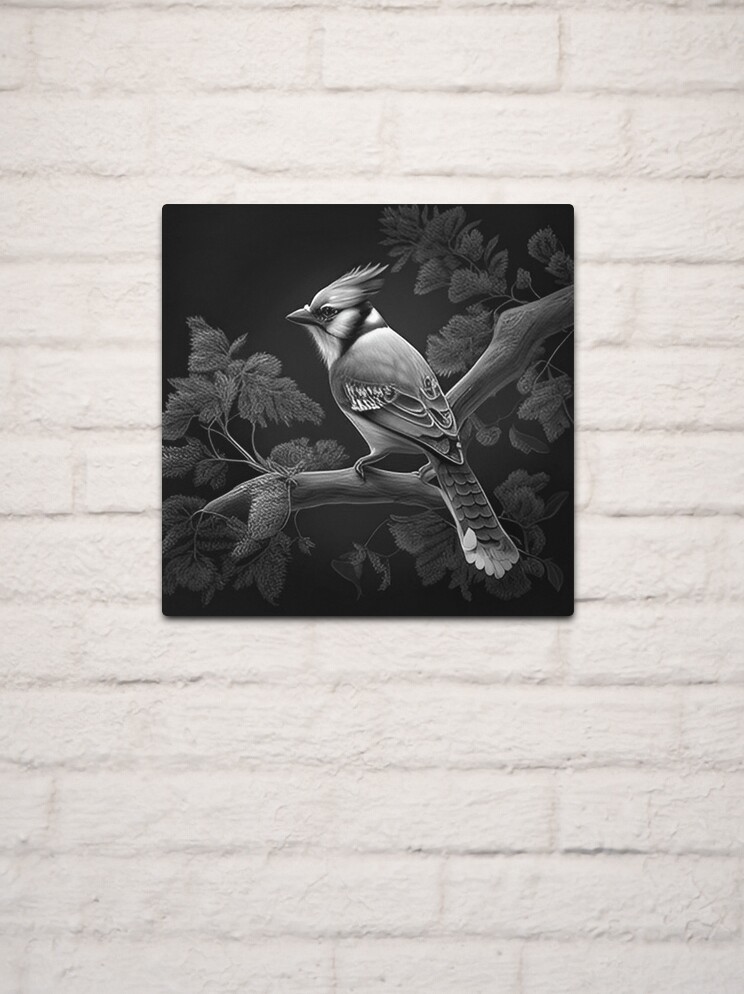 BLACK AND WHITE BLUE JAY Art Print