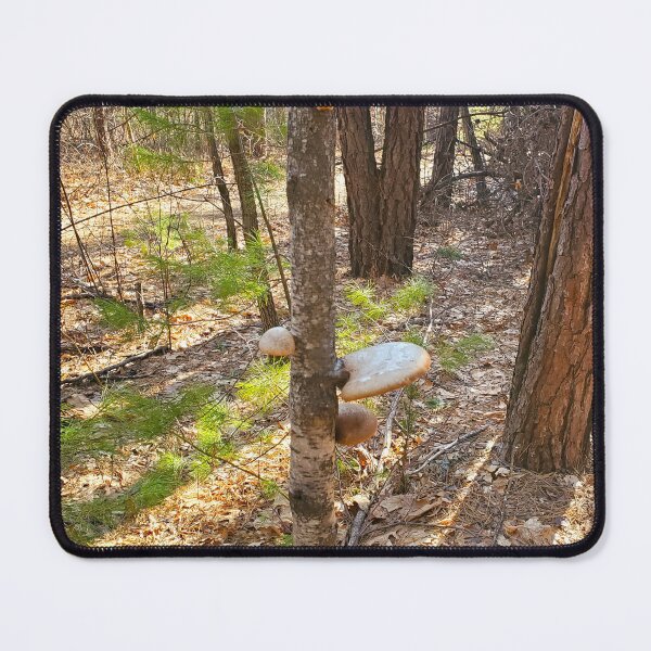 Item preview, Tree Shrooms  designed and sold by etherealwonders.