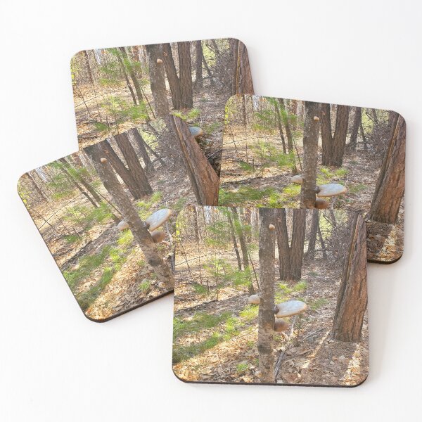 Item preview, Tree Shrooms  designed and sold by etherealwonders.