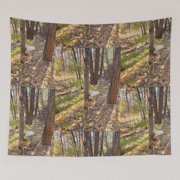 Item preview, Tree Shrooms  designed and sold by etherealwonders.