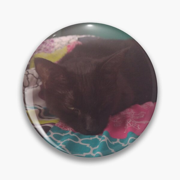 Item preview, Photo of my cute cat sleeping designed and sold by ArtemisJoy.