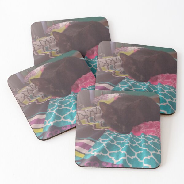 Item preview, Photo of my cute cat sleeping designed and sold by ArtemisJoy.