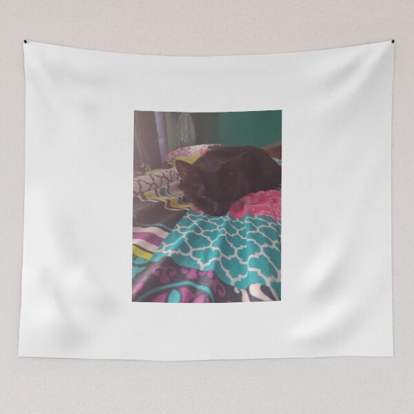 Item preview, Photo of my cute cat sleeping designed and sold by ArtemisJoy.