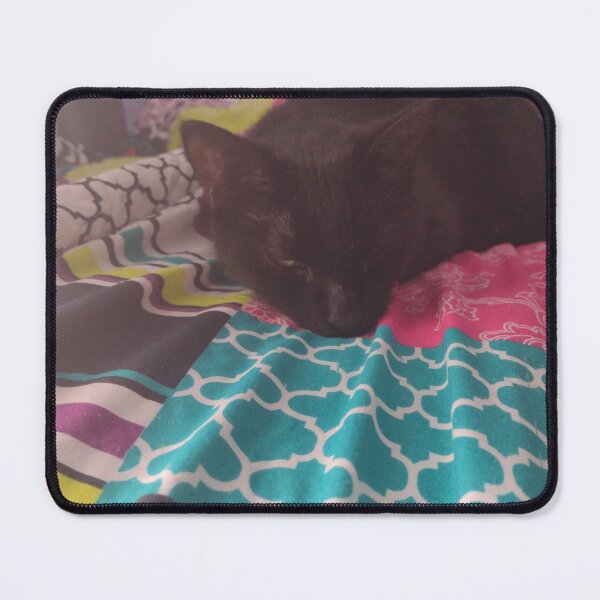 Item preview, Photo of my cute cat sleeping designed and sold by ArtemisJoy.