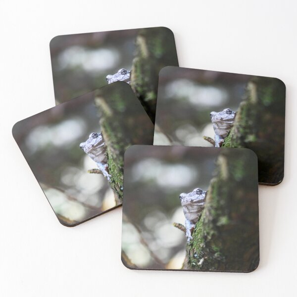 Item preview, Gray Tree Frog designed and sold by Becky Laine.