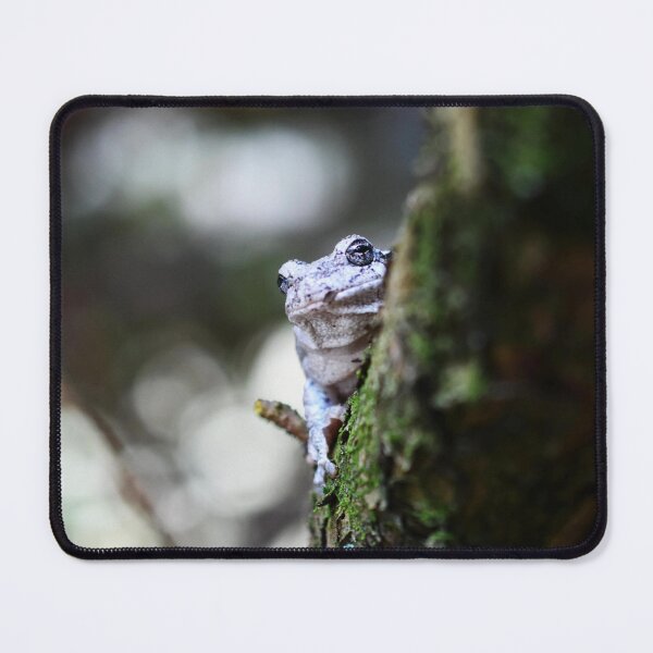 Item preview, Gray Tree Frog designed and sold by Becky Laine.