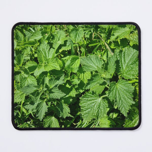 Item preview, Nettles, Real or Fake? designed and sold by texturebank.