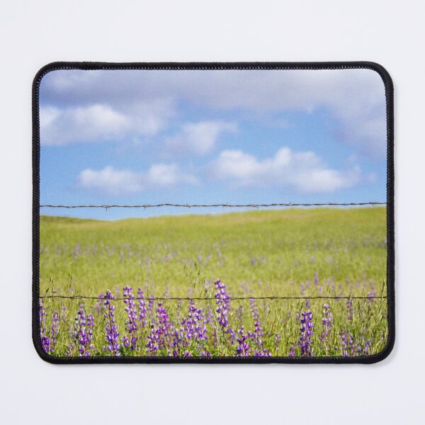 Item preview, Prado designed and sold by Diane Trimble.