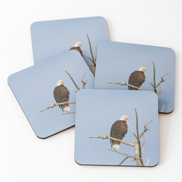 Item preview, Bald Eagle On Alert designed and sold by CommandoCrane.