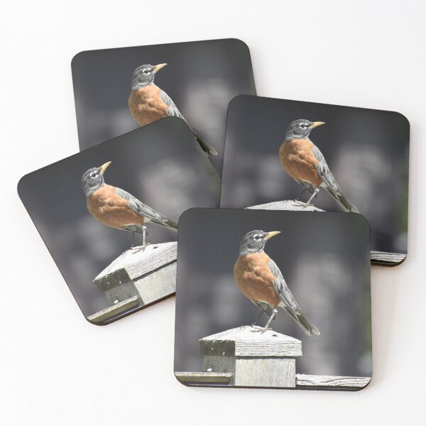 Item preview, Robin on a Fence Post designed and sold by Kathleen Brant.