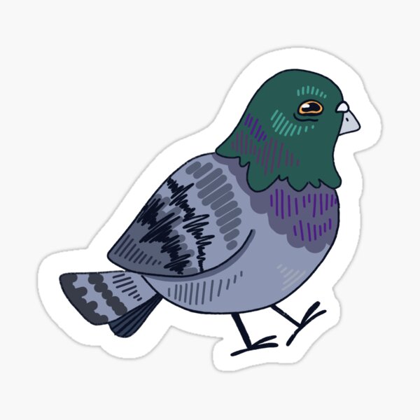 Funky Little Pigeon Sticker for Sale by sillysellsstuff