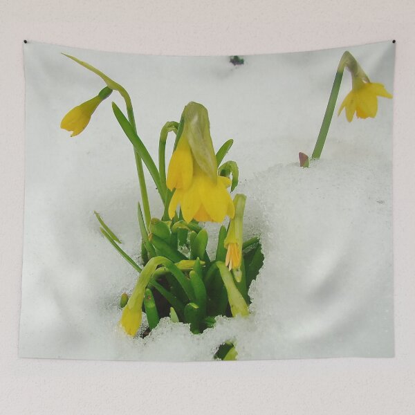 Item preview, Daffs on Ice designed and sold by AnnDixon.