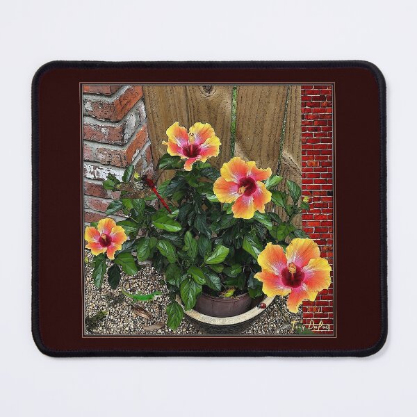 Item preview, "Ci Ci's Garden" by Tony DuPuis designed and sold by tony777.