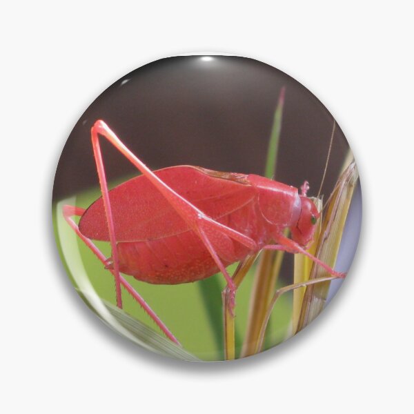 Item preview, Pink Katydid designed and sold by Michelle  Jean.
