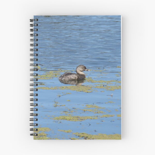 Item preview, Hoary headed grebe designed and sold by greentiger1.