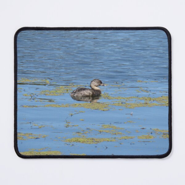 Item preview, Hoary headed grebe designed and sold by greentiger1.