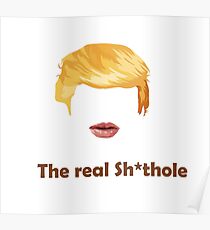 The REAL sh*thole Poster