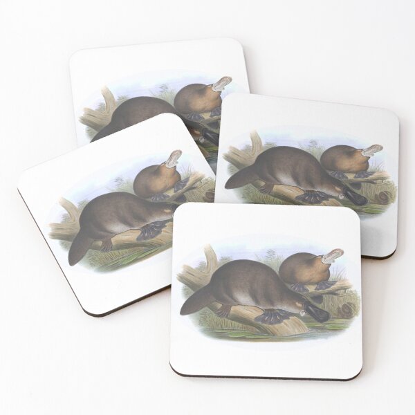 Item preview, Platypus Australian Animal Illustration - John Gould designed and sold by karwilberevivalcollection.