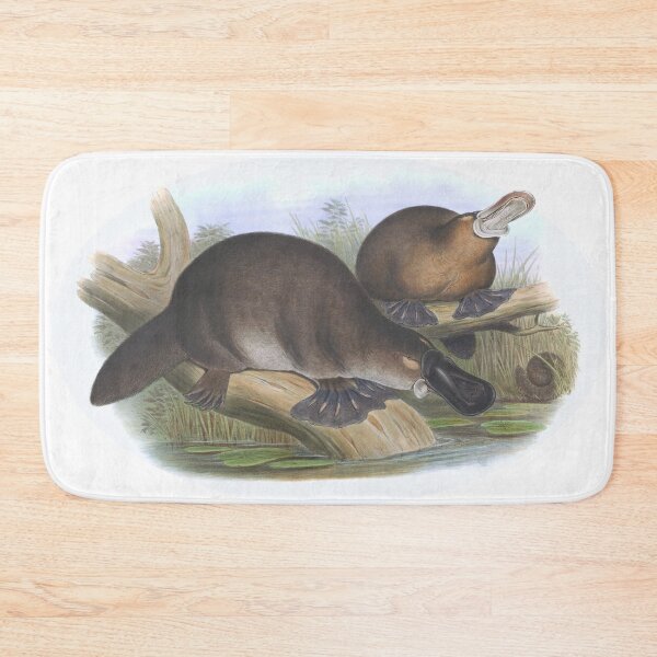 Item preview, Platypus Australian Animal Illustration - John Gould designed and sold by karwilberevivalcollection.