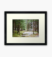 In the forest Framed Print