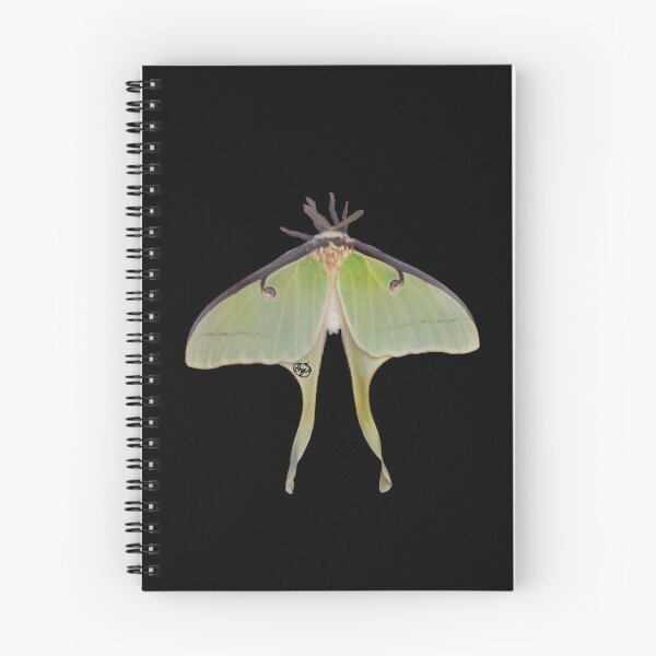 Item preview, Luna Moth designed and sold by Izzyanna Andersen.