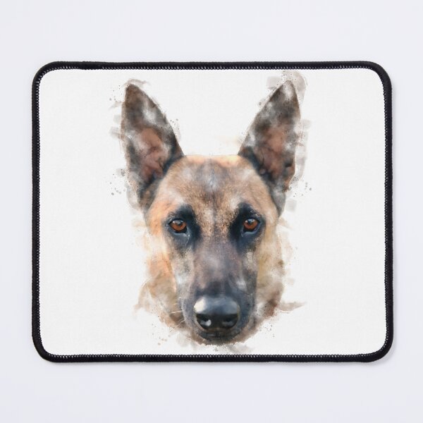Item preview, Belgian Malinois Watercolour Artwork designed and sold by Typeglyphs.