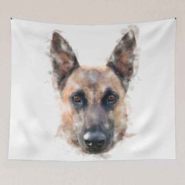 Item preview, Belgian Malinois Watercolour Artwork designed and sold by Typeglyphs.