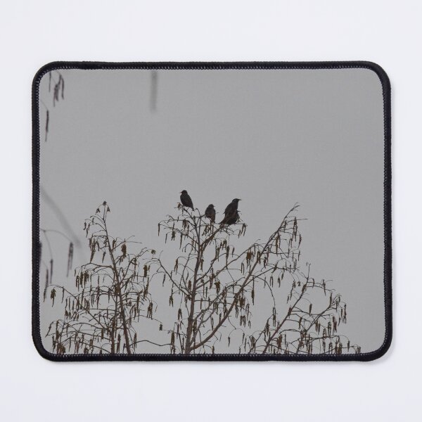 Item preview, 3 birds in a tree designed and sold by Randy Augustus.
