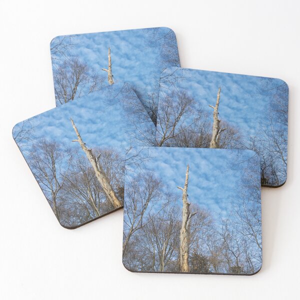 Item preview, A Dead Tree Among Live Ones designed and sold by RoseyElisabeth.