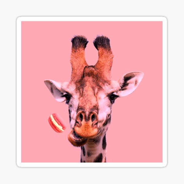 Lovely giraffe with macaron by Alice Monber Sticker