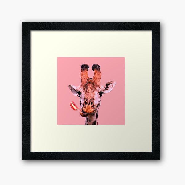 Lovely giraffe with macaron by Alice Monber Framed Art Print