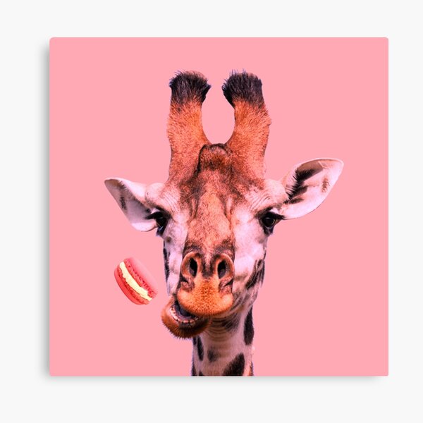 Lovely giraffe with macaron by Alice Monber Canvas Print