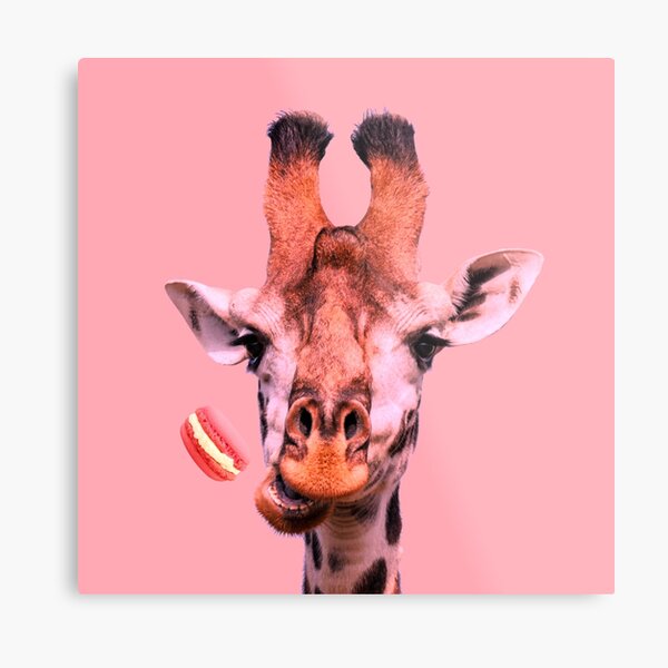 Lovely giraffe with macaron by Alice Monber Metal Print