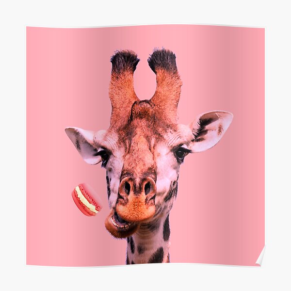 Lovely giraffe with macaron by Alice Monber Poster