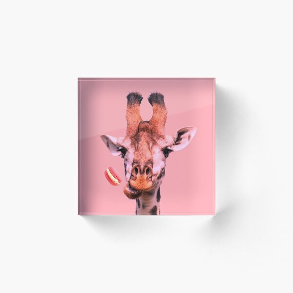 Lovely giraffe with macaron by Alice Monber Acrylic Block