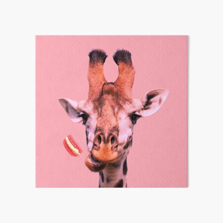 Lovely giraffe with macaron by Alice Monber Art Board Print