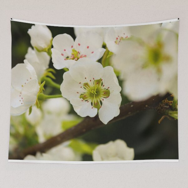 Item preview, signs of spring (macro 1) designed and sold by Bri-bee.