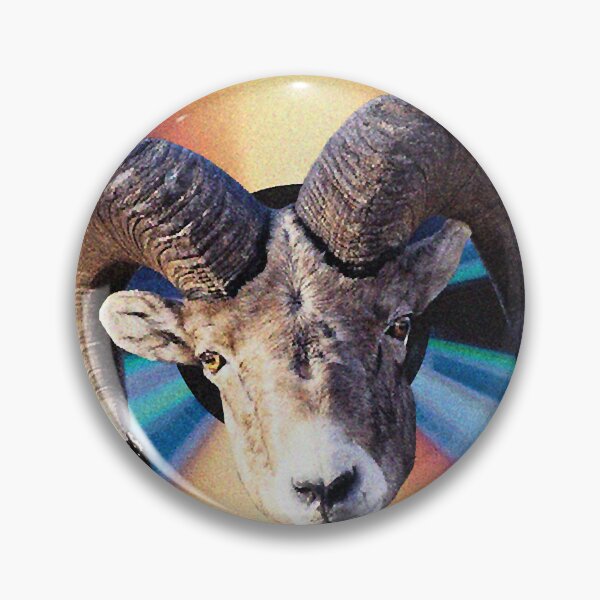 Item preview, possum playing banjo designed and sold by glendahabi.